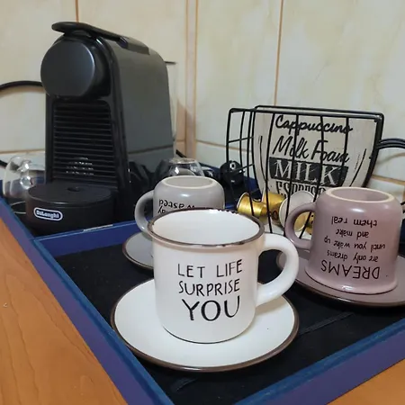 Cuibusor De Vara Constanţa