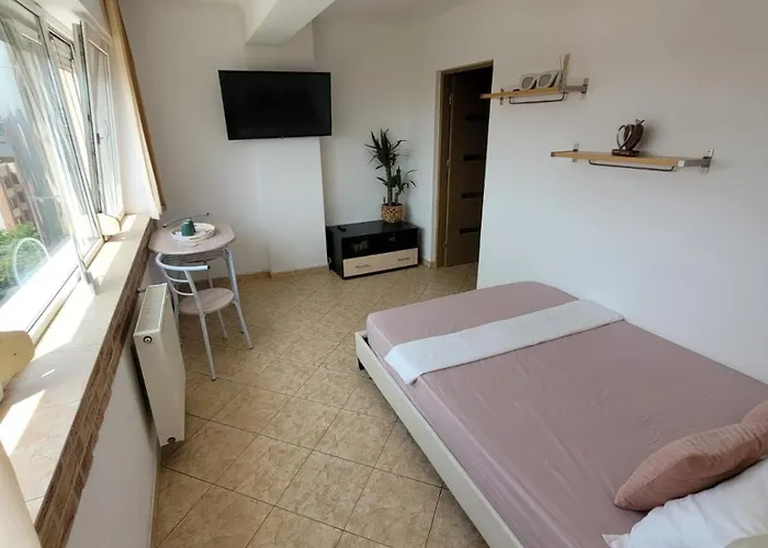 Cuibusor De Vara Apartment *