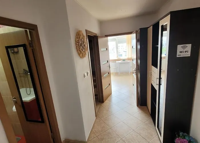 Cuibusor De Vara 康斯坦察