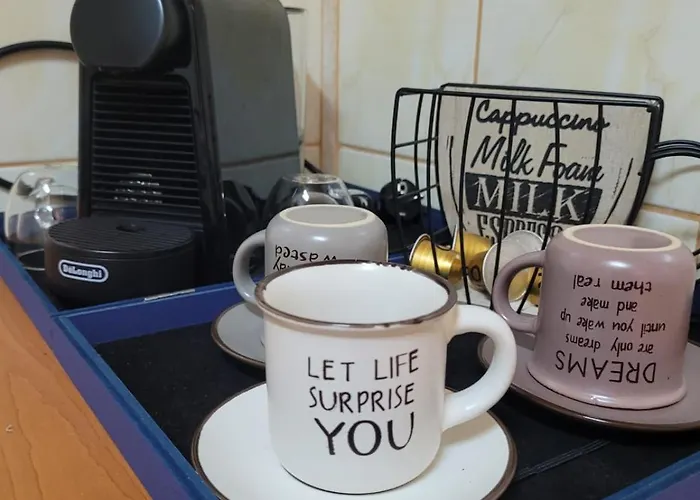 Cuibusor De Vara 康斯坦察